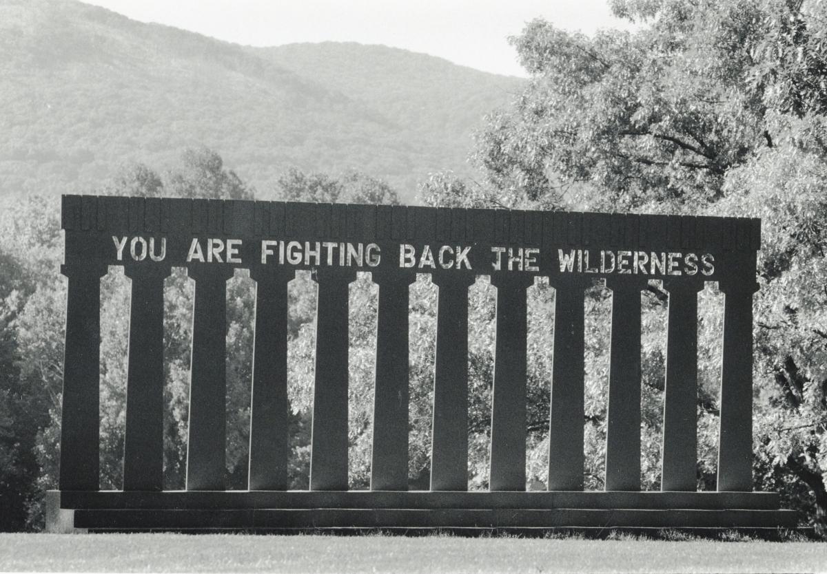 Lauren Ewing, <em>The Wilderness Screen</em>, 1985 (installation view, 1991)