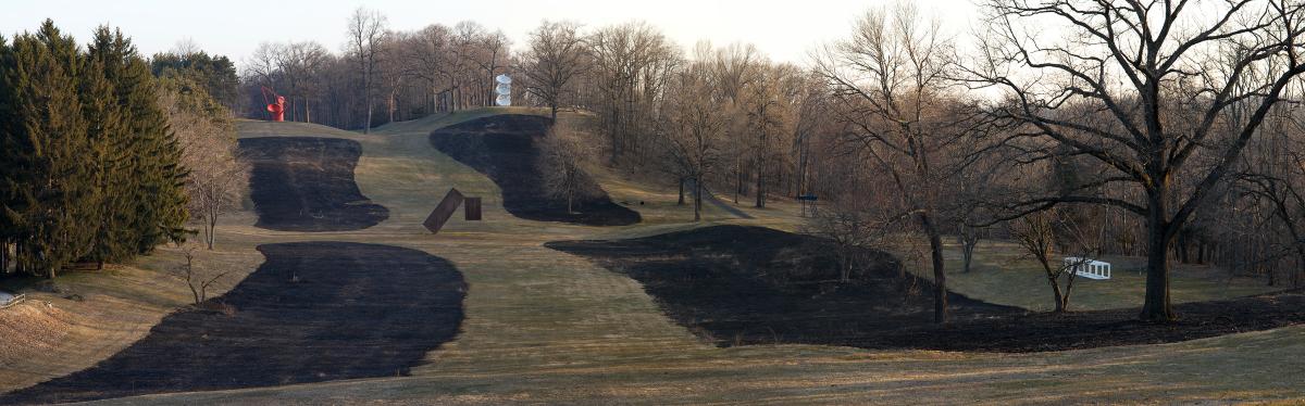Burnt Grasses, 2012
