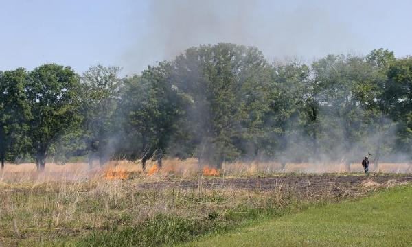 Grass Burning in the Meadow, 2018