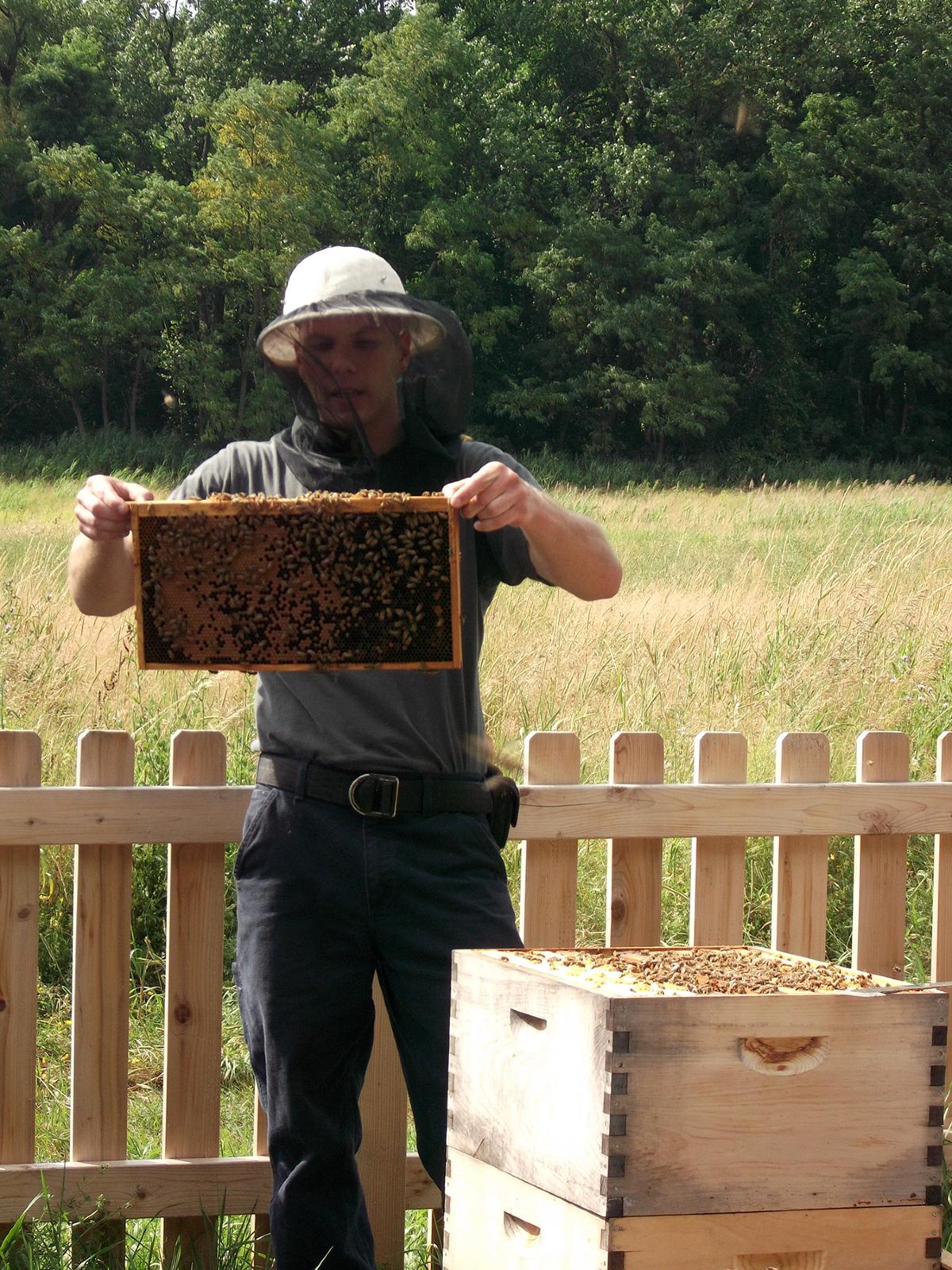 Beekeeping, 2012
