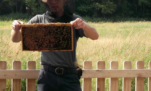 Beekeeping, 2012