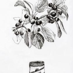 Jenny Hersh, <em>Fruit and Alum</em>, 2019
