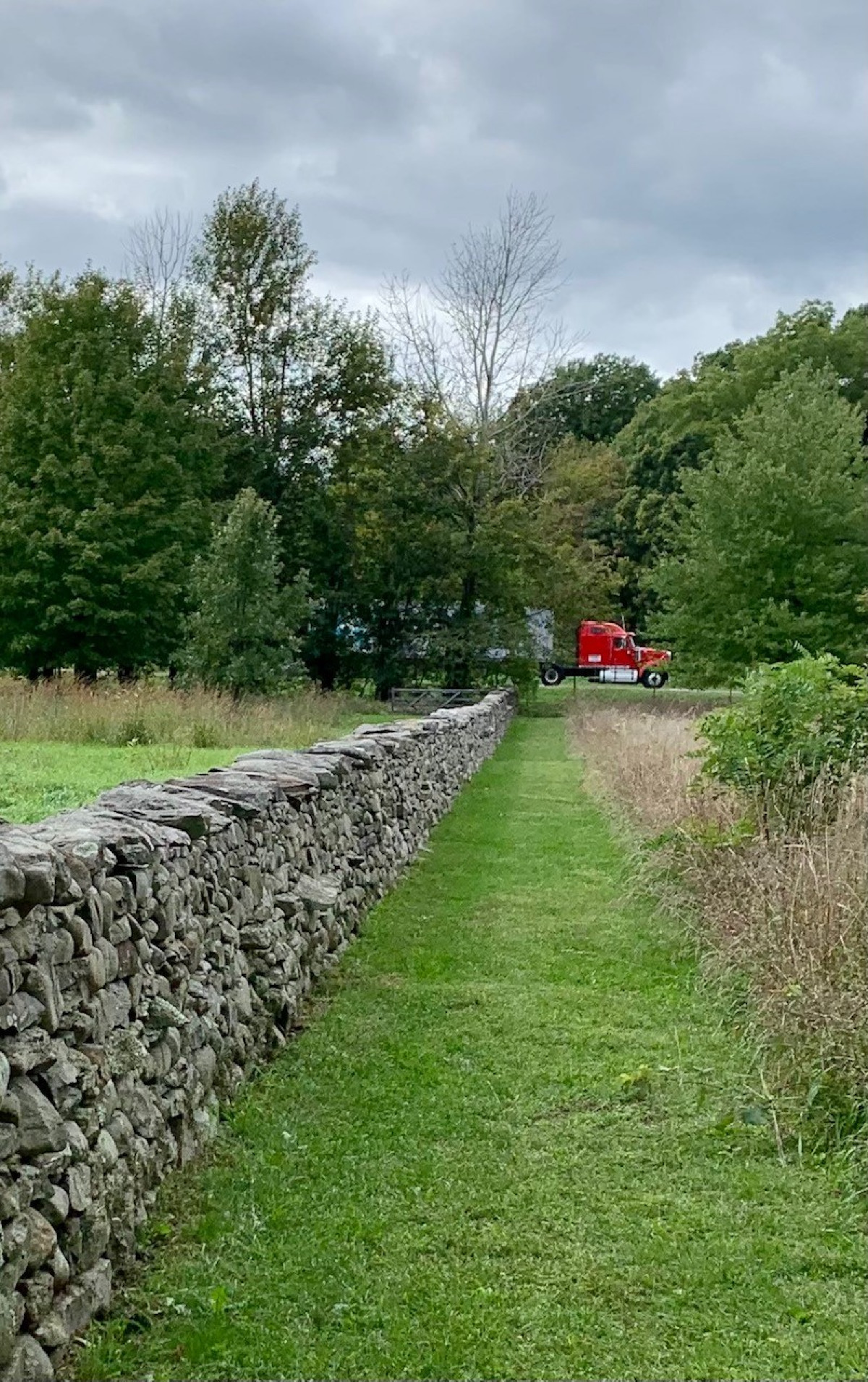 Andy Goldsworthy, <i>Storm King Wall</i>, 1997&ndash;98<br />
New York State Thruway and the Storm King Art Center, 2022