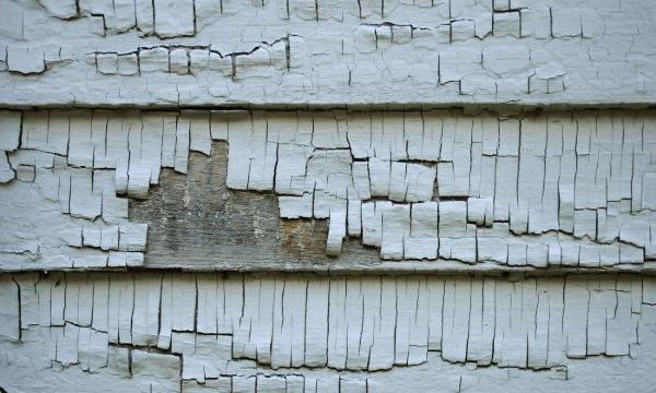 <em>Peeling Back</em>, Scandrett House, 2022