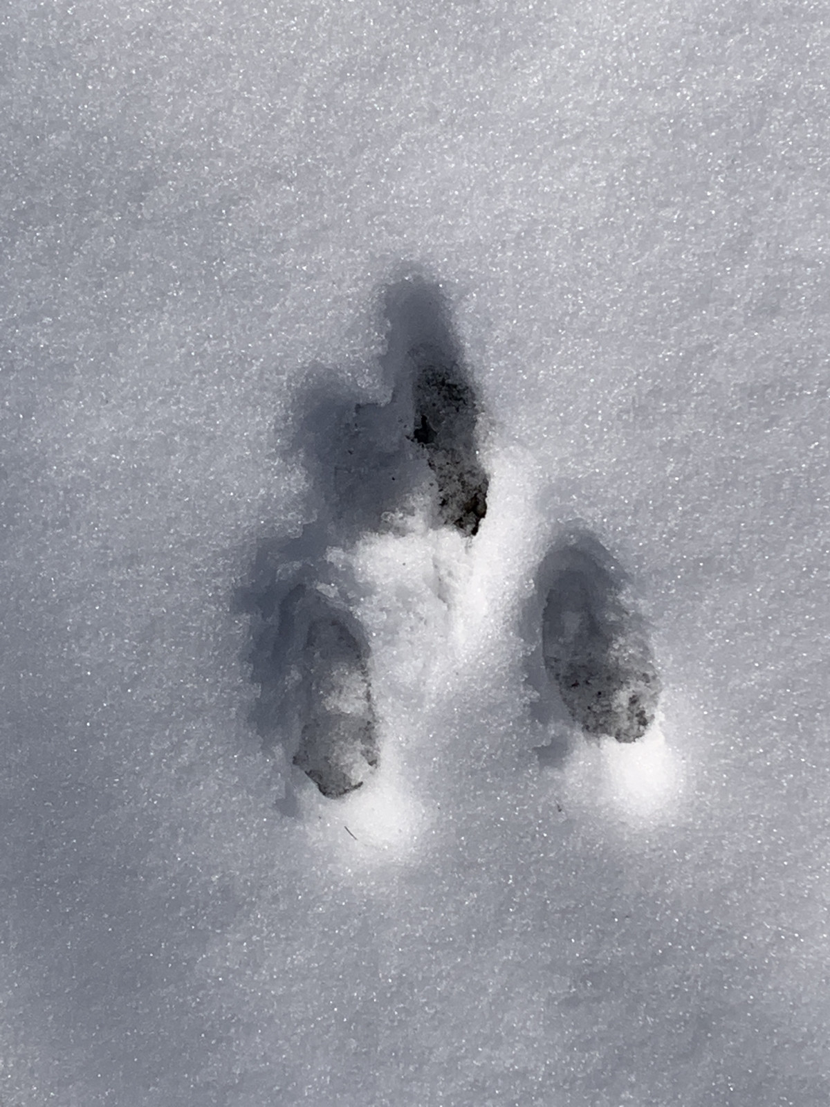 Winter, Storm King Art Center