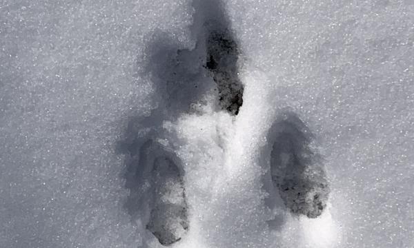 Winter, Storm King Art Center