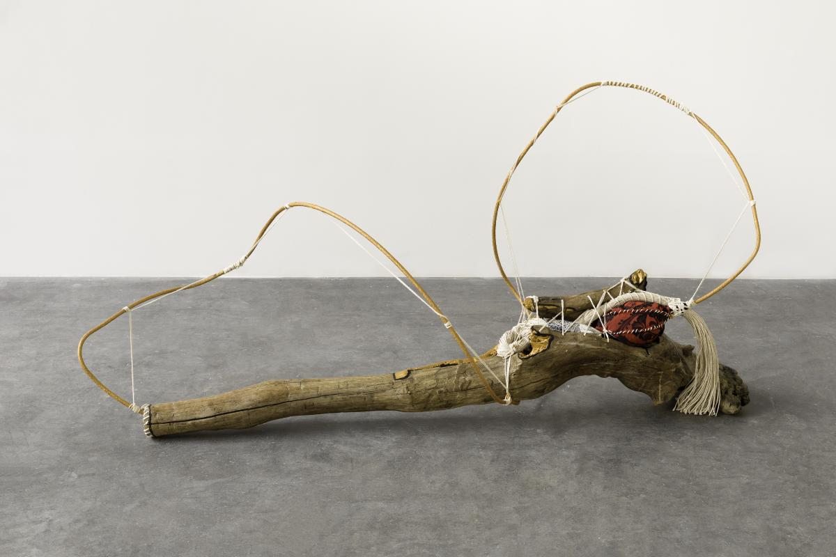 Untitled (Raízes series)