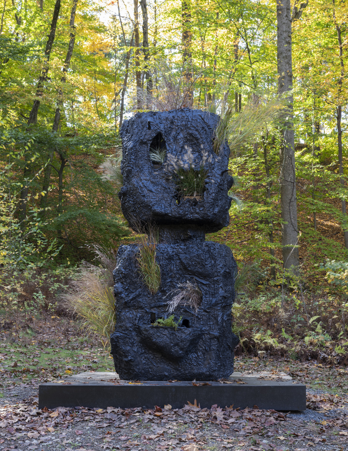 Rashid Johnson