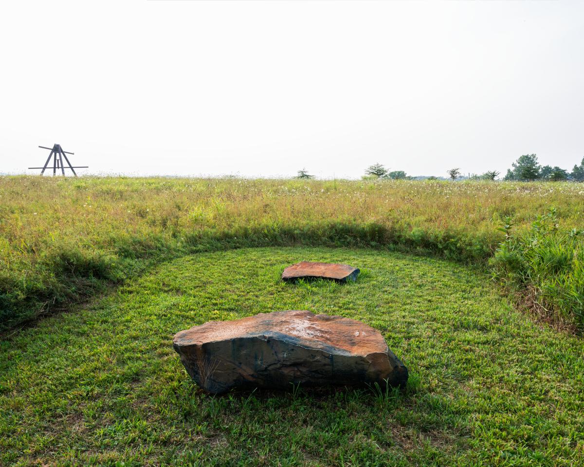 Outlooks: Dionne Lee (installation view, fall 2025)