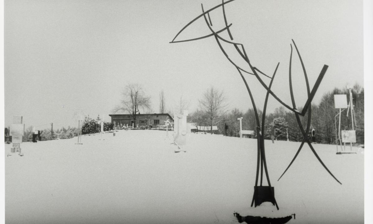 Sculpture in the Fields
