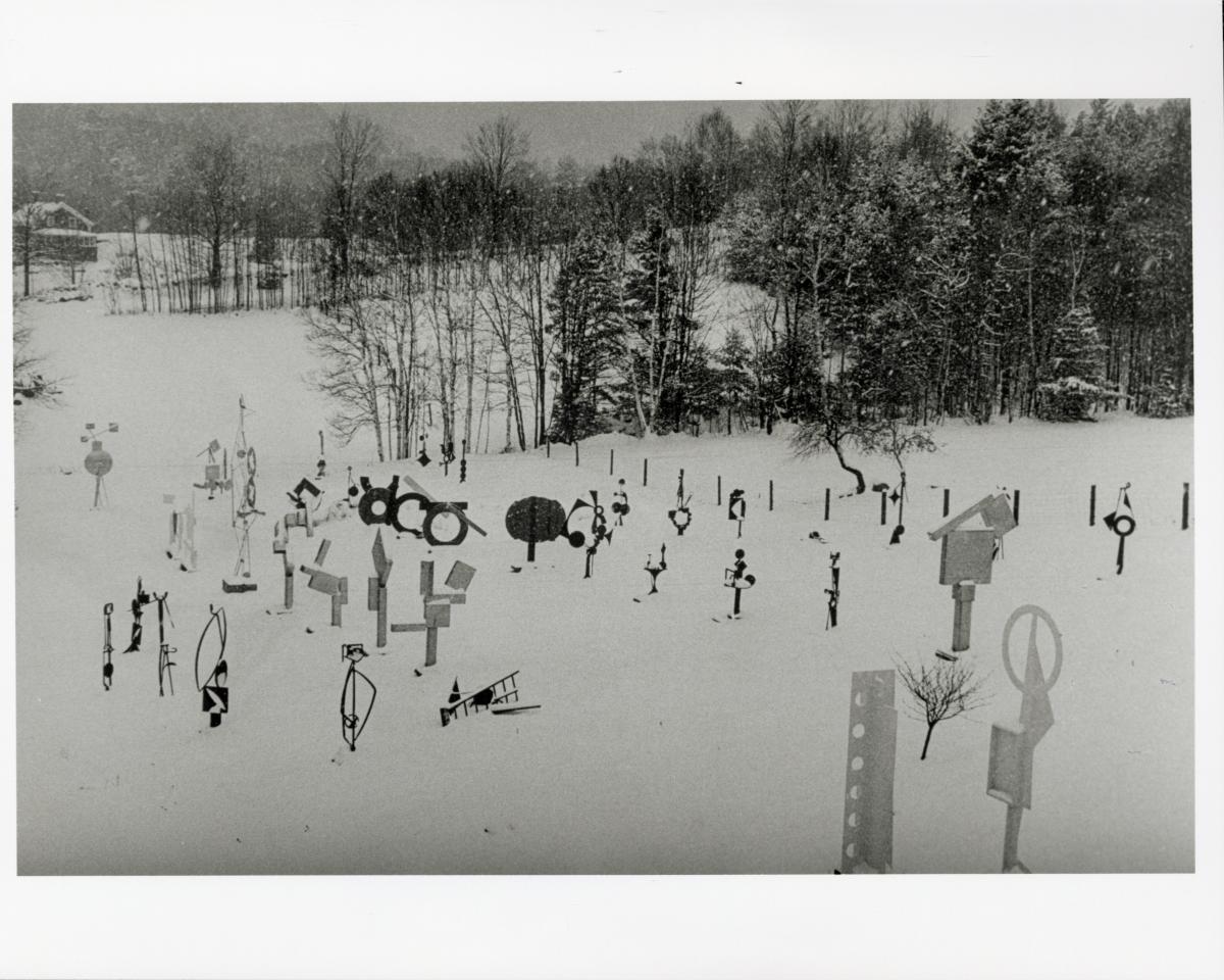 Sculpture in the Fields