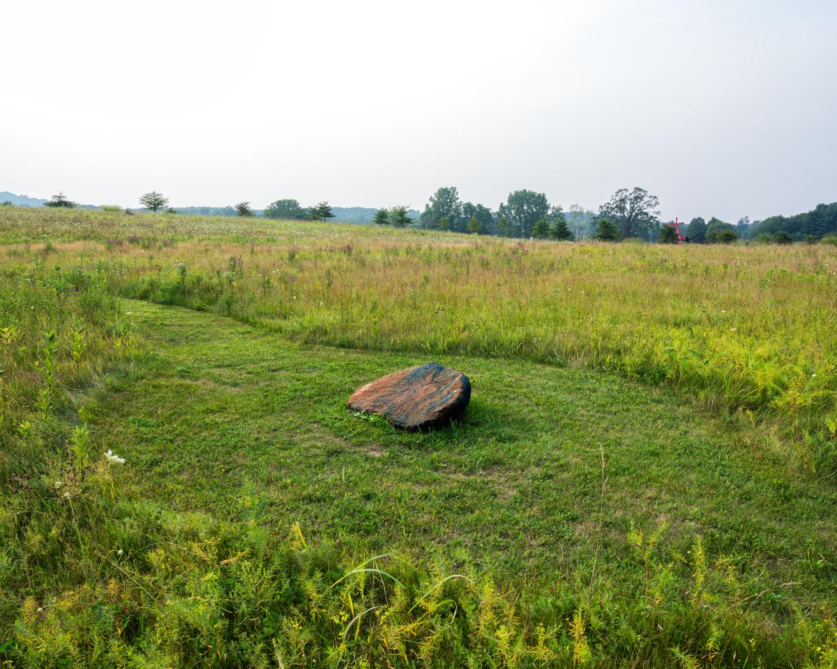 Outlooks: Dionne Lee (installation view, fall 2025)
