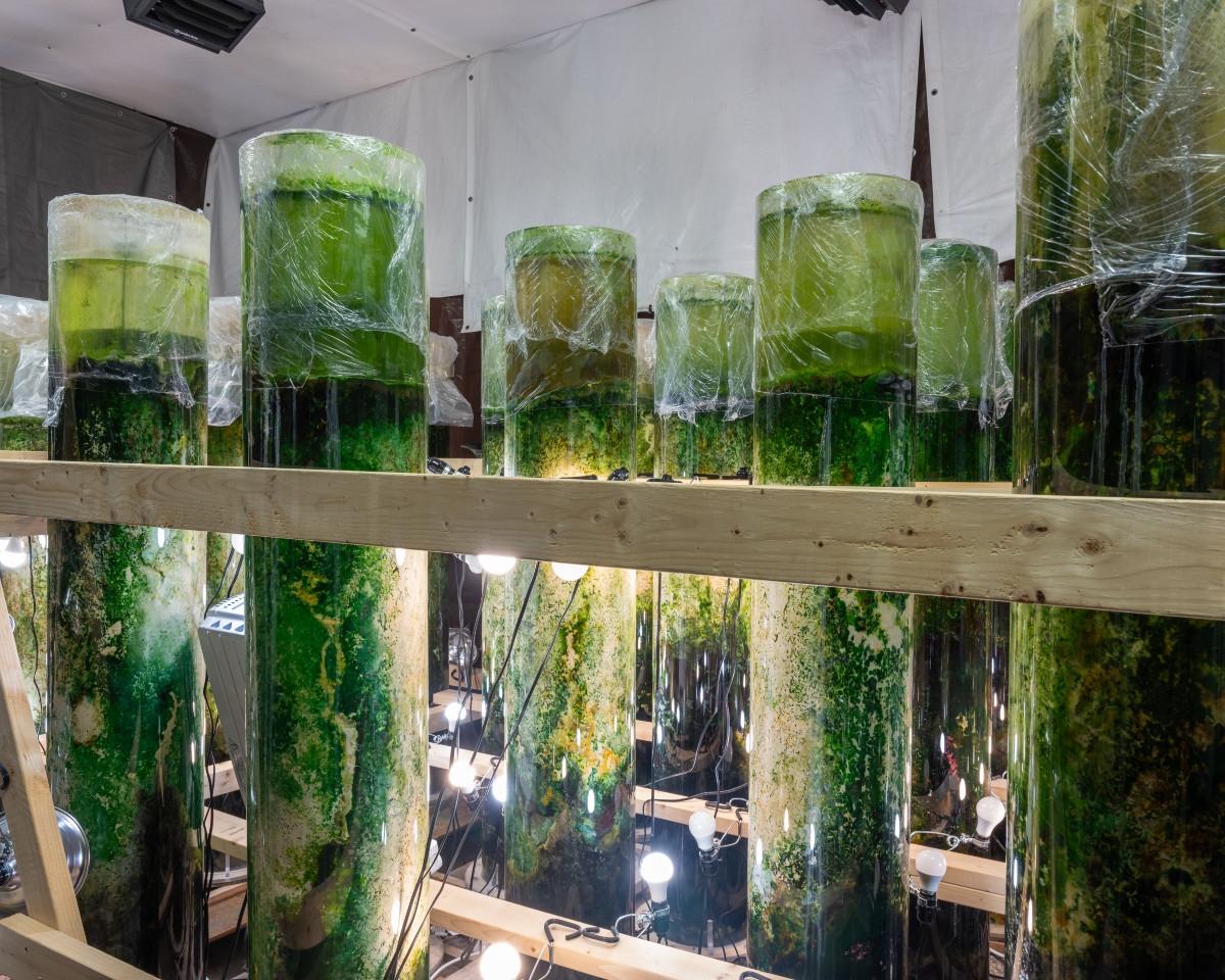 <em>Anicka Yi: Message from the Mud&nbsp;</em>(fabrication in progress)&nbsp;