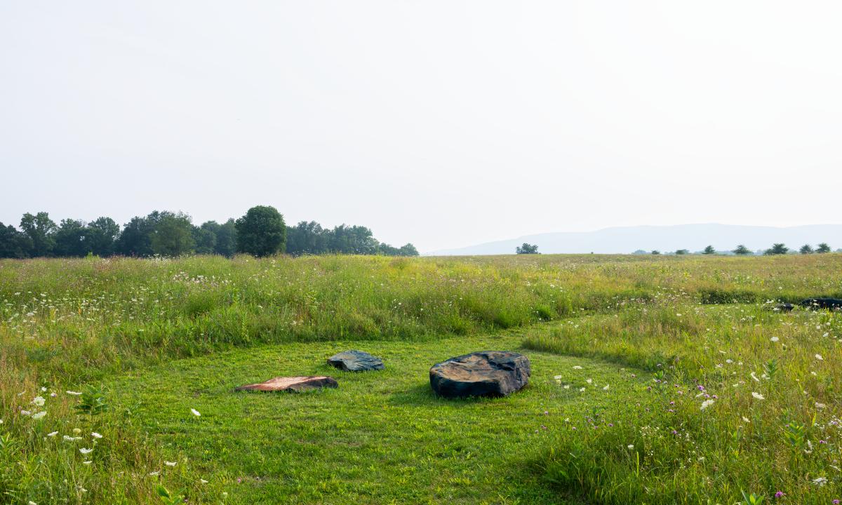 <br />
Outlooks: Dionne Lee (installation view, fall 2025)