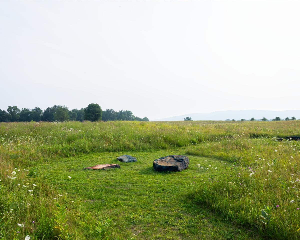 <br />
Outlooks: Dionne Lee (installation view, fall 2025)