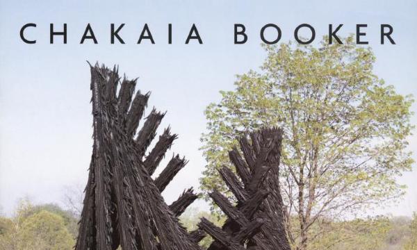 Chakaia Booker