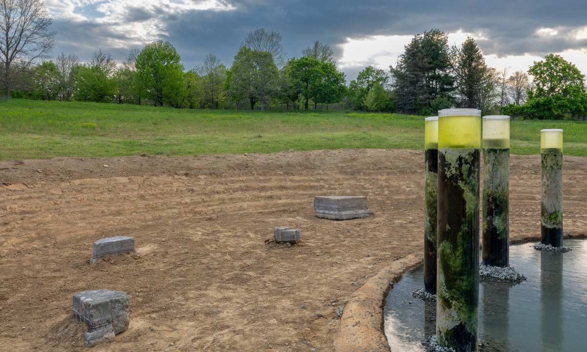 Anicka Yi,&nbsp;<em>Message from the Mud</em>, 2026 (installation view)&nbsp;