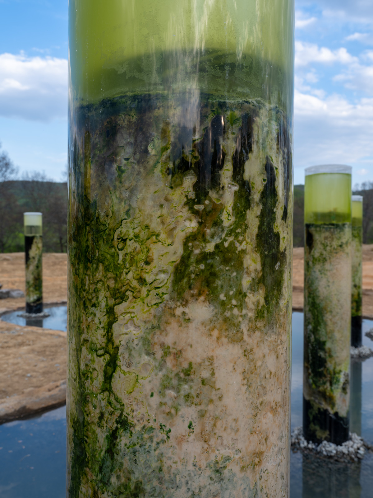 Anicka Yi, <em>Message from the Mud</em>, 2026 (installation view) 