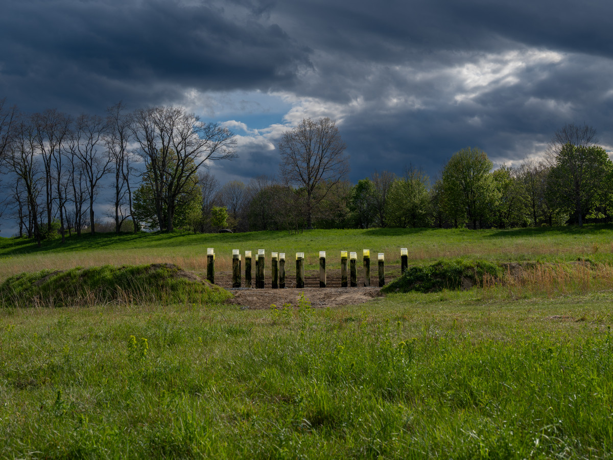 Anicka Yi, <em>Message from the Mud</em>, 2026 (installation view) 